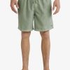 Hombre Quiksilver Trajes De Bano | Everyday Surfwash 17" - Short De Natacion Para Hombre Laurel Wreath