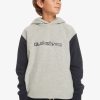 Nino Quiksilver Sudaderas | Essentials - Polar Con Capucha Para Chicos 8-16 Light Grey Heather