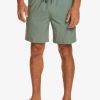 Hombre Quiksilver Boardshorts | Taxer Cargo 18" - Boardshort Anfibio Para Hombre Laurel Wreath