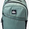 Hombre Quiksilver Bolsos & Mochilas | Freeday 20L - Mochila Tecnica Mediana Para Hombre Laurel Wreath