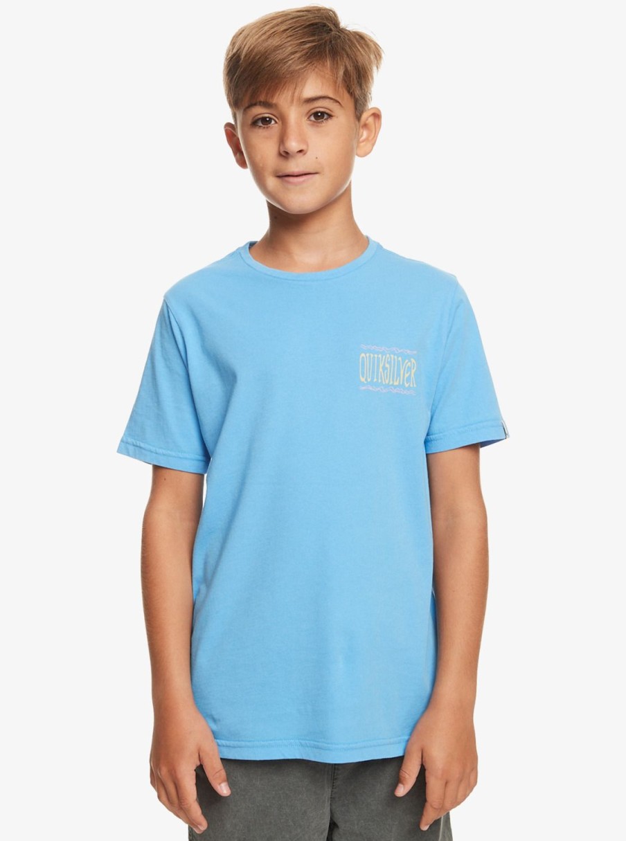 Nino Quiksilver Camisetas | Taking Roots - Camiseta Para Chicos 8-16 Azure Blue