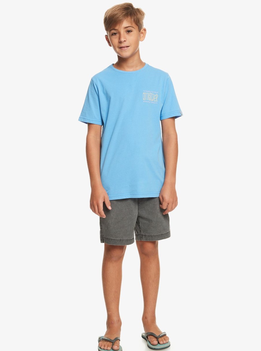 Nino Quiksilver Camisetas | Taking Roots - Camiseta Para Chicos 8-16 Azure Blue