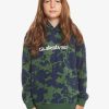 Nino Quiksilver Sudaderas | Essentials - Polar Con Capucha Para Chicos 8-16 Greener Pasture Tie Dye 233