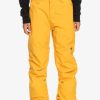 Nino Quiksilver Accesorios | Estate - Pantalon Tecnico Snow Para Chicos 8-16 Mineral Yellow